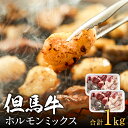 【ふるさと納税】但馬牛経産牛「ホルモンミックス」500g×2 / 和牛 ホルモン てっちゃん アカセン ミノ ハチノス センマイ レバー 焼肉 炒め物 鍋 料理 012AA03N.