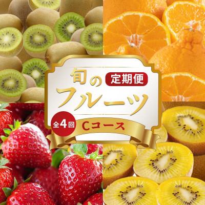 ふるさと納税 丸亀市 【発送月固定定期便】フルーツ定期便 Cコース(ゴールドキウイ キウイっこ デコポン いちご)全4回