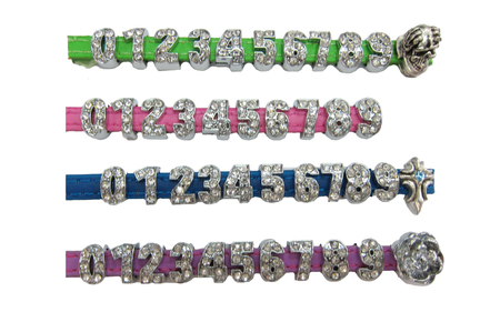 スワロフスキー文字アニマルネームネックレス【猫用・子犬用】（レッド） 〈ソフト素材仕様でペットにやさしい〉