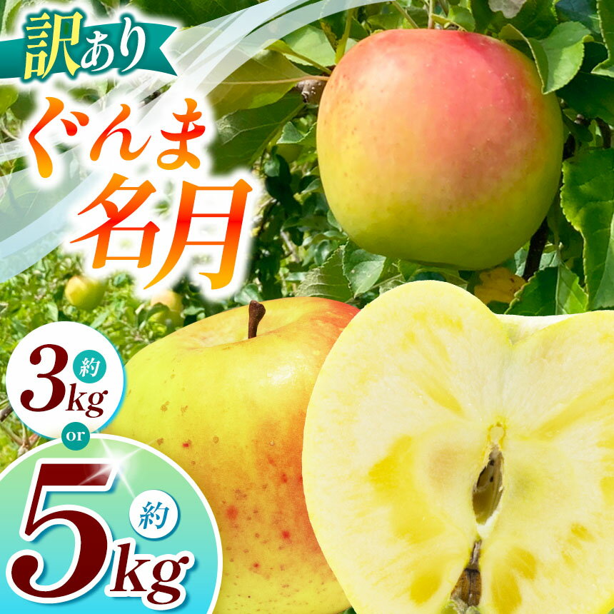 【ふるさと納税】【2025年先行予約】浅野農園 訳あり ぐんま名月 3kg ・ 5kg｜ リンゴ りんご 林檎 果物 くだもの フルーツ 果実 果汁 訳あり ぐんま名月 長野県 松川村 信州