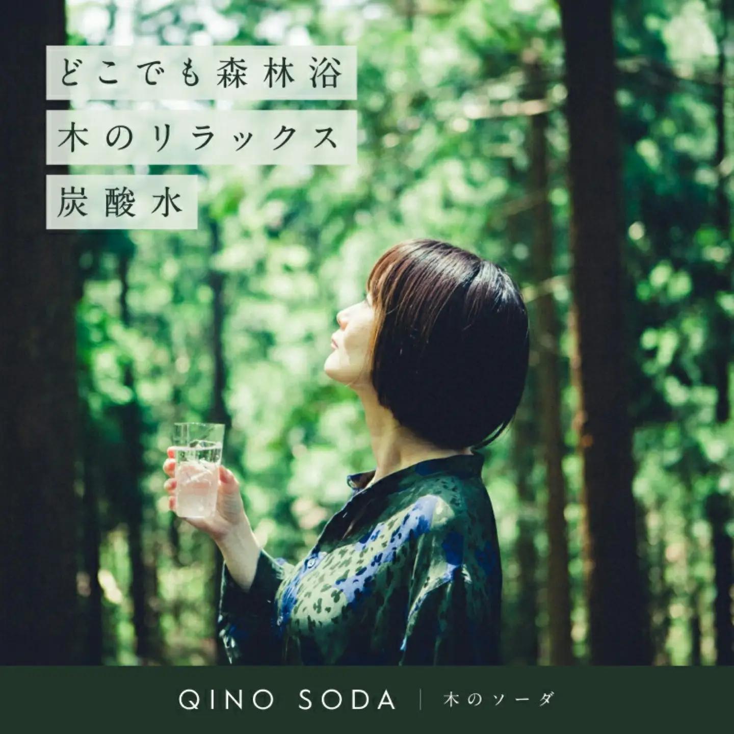 QINO SODA 杉 - 富士山麓 -　炭酸　炭酸水　杉　ソーダ水　木のソーダ