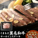 【ふるさと納税】 くまもと黒毛和牛 サーロインステーキ 250g×2 合計500g ギフトBOX入り ステーキ ステーキ肉 すてーき サーロイン 肉 にく 牛肉 牛 うし 黒毛和牛 ギフト 贈答 贈り物 冷凍 国産 熊本県 送料無料