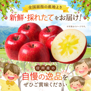 りんご 先行予約 伊那市田原産 リンゴ サンふじ 訳あり 約5kg 2026年11月中旬～発送【011-a3】