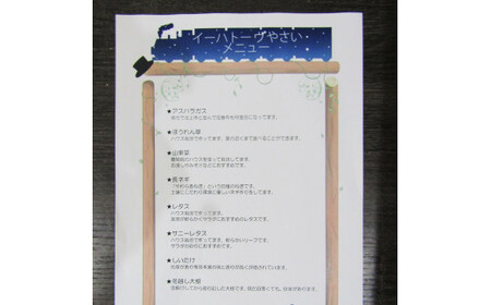  【定期便6ヶ月】イーハトーヴ野菜C もりもりセット 11品～ 詰め合わせ【1209】