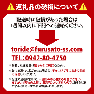【最短翌日発送】キリン 一番搾り＜取手工場産＞ 500ml×24本｜KIRIN 麒麟 ビール 一番搾り 生ビール 最短翌日 スピード発送 茨城県 取手市（ZC002）