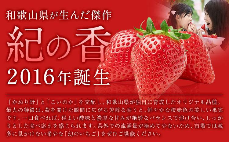 【先行予約】いちご イチゴ 苺 フルーツ 果物 紀州和歌山 ブランドいちご 紀の香 250g × 4パック 1kg 1000g 株式会社魚鶴商店《2027年2月上旬-2月下旬頃出荷》和歌山県 日高町 