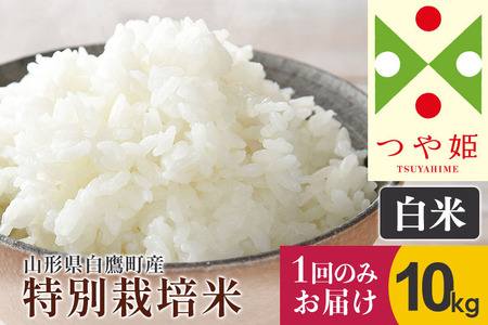 【令和6年産新米】〈白米〉 つや姫 10kg（特別栽培米） 山形県産 しらたかのお米