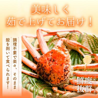 ふるさと納税 越前町 ≪浜茹で≫ 越前がに 中サイズ × 1杯【12月発送分】 |  | 02