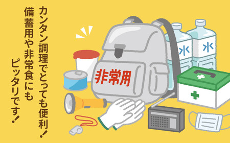 レトルトカレーセット甘口60食レトルトカレー