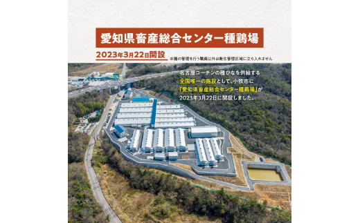 壮平さんどら焼き