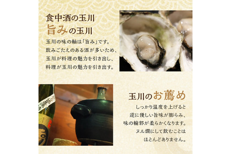 【京都・京丹後の山廃・無濾過生原酒】玉川 自然仕込 純米酒（山廃）720ml＜木下酒造定番 玉川 山廃シリーズ／無濾過 生原酒／無ろ過＞