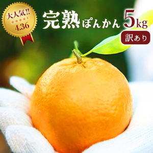 ＜先行予約＞訳アリ完熟ぽんかん 5kg 国産 東洋町産 訳あり 甘酸っぱい ジューシー 高知県 東洋町 四国 お取り寄せ フルーツ 蜜柑 ミカン 果物 送料無料 産地直送 【株式会社フクチャンFARM】