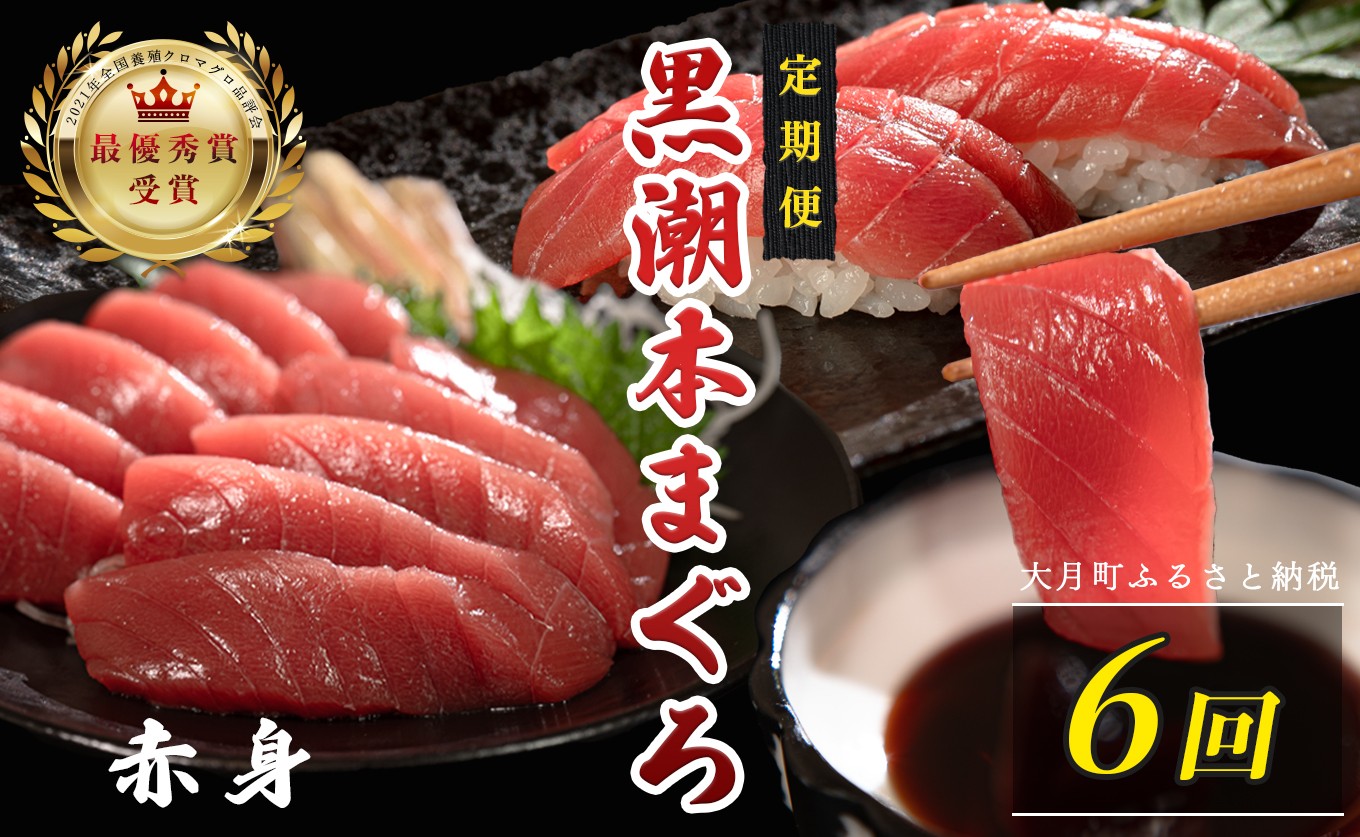 
                  訳あり 不定貫 定期便 6回 国産 養殖本マグロ 赤身 毎回120g×6回 黒潮本まぐろ 全国養殖クロマグロ品評会 最優秀賞受賞 6ヶ月 6か月 半年 柵 刺身用 本マグロ クロマグロ 本鮪 まぐろ 鮪 お刺身 さしみ 海鮮丼 漬け丼 手巻き寿司 鉄火丼 まぐろ丼 小分け 個包装 真空パック 冷凍 不揃い 家庭用 海鮮 年末年始 高知県 大月町 4万円
                