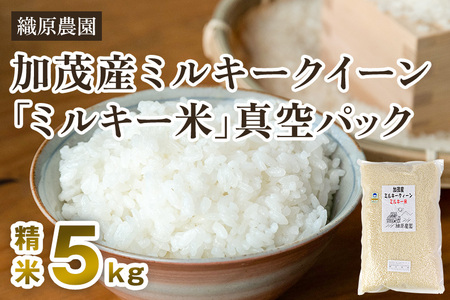 【令和7年産】【精米】加茂産ミルキークイーン「ミルキー米」真空パック 5kg ミルキークイーン 新潟県産ミルキークイーン 米 お米 ミルキークイーン ミルキークイーン ミルキークイーン ミルキークイーン ミルキークイーン