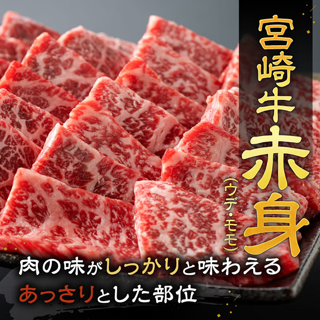 宮崎牛赤身霜降り焼肉2種 800g　牛肉[E11124]