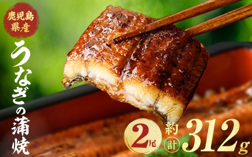 
                  鹿児島県産うなぎ蒲焼 (計約312g / 約156g×2尾) 鰻 ウナギ うなぎ【薩摩川内鰻】 A1112
                