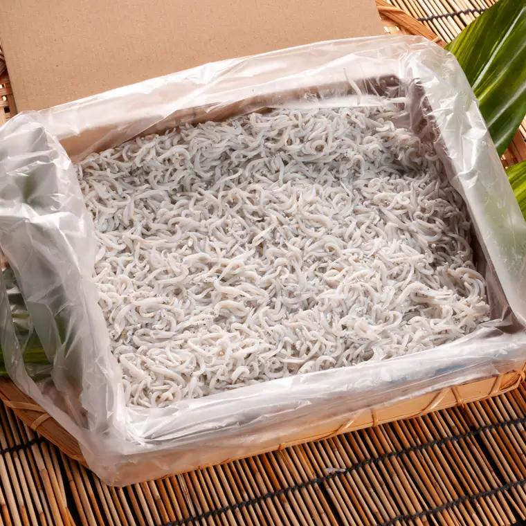 しらす 1kg ちりめん山椒 100g しらす佃煮 100g セット _AG002