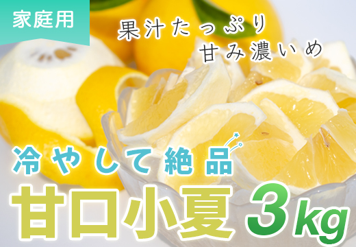 甘口 小夏 3kg 家庭用 日向夏 ニューサマーオレンジ 柑橘 みかん ノーワックス こなつ くだもの 果物 産直 旬の果物 お取り寄せ 産地直送 フルーツ 爽やか スッキリ 甘い 高知県 大月町産 コーラルフルーツ農場
