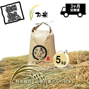【令和7年産・白米5kg×定期便3ヶ月】特別栽培「五郎兵衛さんのお米」 ＜2025年10月初旬以降順次配送＞ 長野県 信州 先行予約 新米 こしひかり【五郎兵衛米 米 コメ 白米 精米 お米 こめ おこめ 備蓄品 仕送り おすそ分け 備蓄米 コシヒカリ こしひかり 長野県 佐久市 】