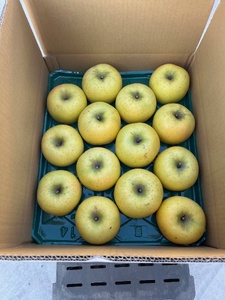 【贈答用】シナノゴールド　3㎏（9～12玉）| しなのごーるど シナノゴールド 林檎 りんご 長野県 松本市 果物 フルーツ ふるさと納税