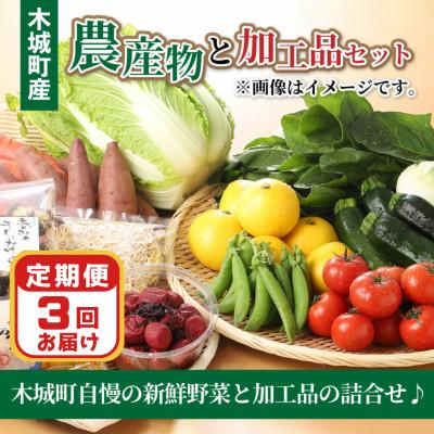ふるさと納税 木城町 【毎月定期便】農家おまかせ木城の旬野菜 K04_T001_2 全3回