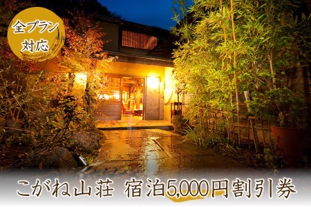 八面山金色温泉 お宿こがね山荘 宿泊5,000円割引券 全プラン利用可 | チケット イベントチケット 宿泊 宿泊券 旅行 割引券 温泉 温泉旅行 旅 宿 大分県 中津市