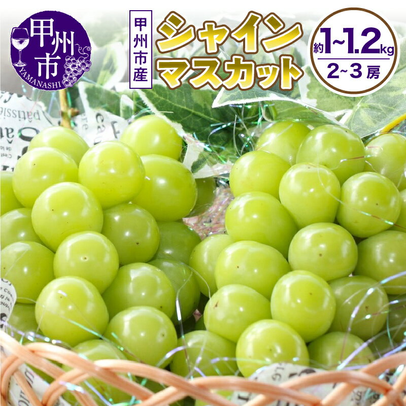 【ふるさと納税】 シャインマスカット 2026年発送 選べる 内容量 約1kg 約1.1kg 約1.2kg 8月 9月 10月 発送 2〜3房 果物 スイートエメラルド 期間限定 高評価 ランキング 人気 おすすめ 山梨 甲州市 葡萄 ぶどう ブドウ フルーツ 山梨県 甲州市 社員マスカット （UD）