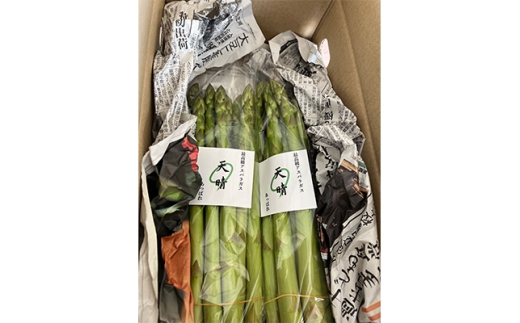 ＜2026年4月～順次発送予定＞特選アスパラガス 1kg【1667807】