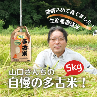 山口さんちの【令和6年産】多古米コシヒカリ(精米)5kg【配送不可地域：離島・沖縄県】【1459857】