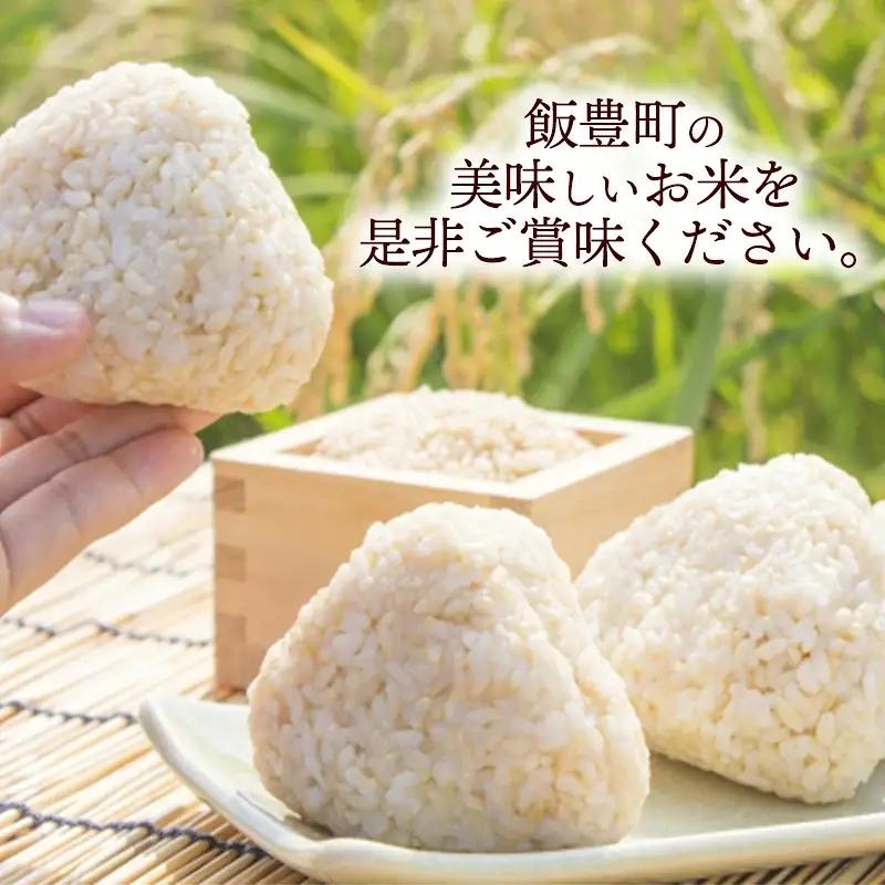 人気のブランド米 はえぬき 玄米10kg（飯豊町産）【R8年産】 - 山形県 玄米ごはん ブランド米 田園サービスいいで