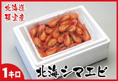 【北海道根室産】北海シマエビ1kg(160～180尾) A-07012