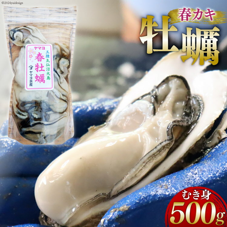 【ふるさと納税】 【期間限定発送】ヤマヨ水産の牡蠣 生食用 むき身 500g 《5月前半〜出荷》 [気仙沼市物産振興協会 宮城県 気仙沼市 20565237] 魚介類 海鮮 牡蠣 春 かき 春牡蠣 春かき 期間限定 冷蔵 生食 生牡蠣