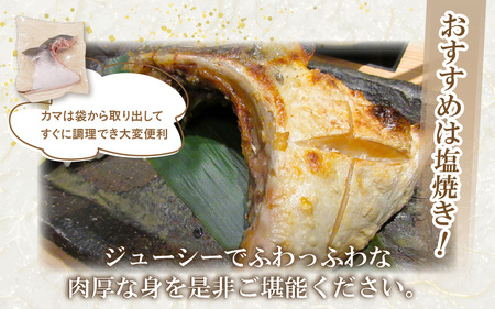 天然 ぶり 特大 ブリカマ (塩焼き用) 約1kg (約500g × 2パック) 美浜町日向産【希少 切身 かま 肉厚 コラーゲン 塩焼き 魚介類 魚貝類 新鮮 冷凍 凍眠】 [m36-a016]