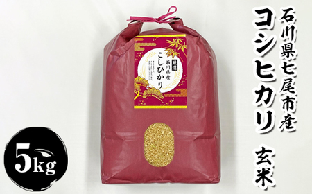 石川県七尾市産　コシヒカリ　玄米　5Kg　※2025年11月上旬～2026年3月下旬頃に順次発送予定