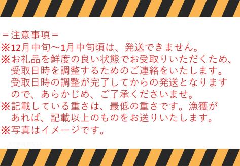 56J.浜下商店の松葉ガニ大1枚〔浜ゆで〕