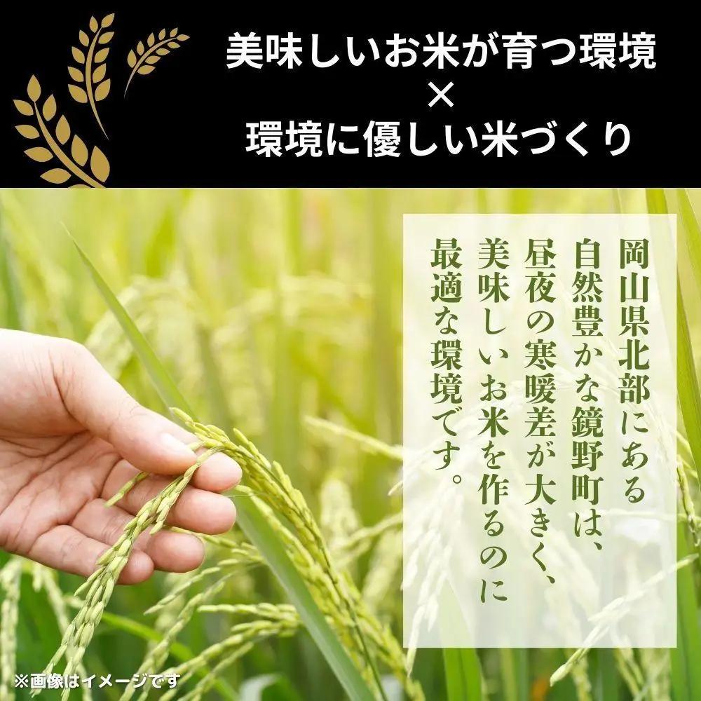令和7年産 鏡野町産 きぬむすめ 精米【10kg】035-a013
