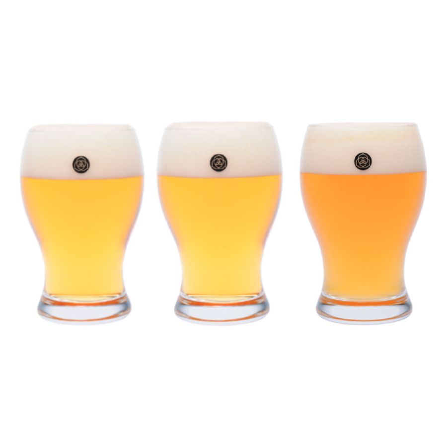 コエドビール瓶12本セット
