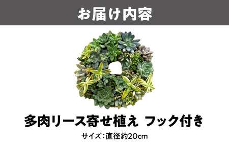 【にじたま園芸部】多肉のリース寄せ植え【直径約20CM】_OS110-0001