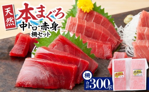 神奈川県漁連 天然本マグロ 中トロ・赤身セット【7月お届け】　M077-012-03-07