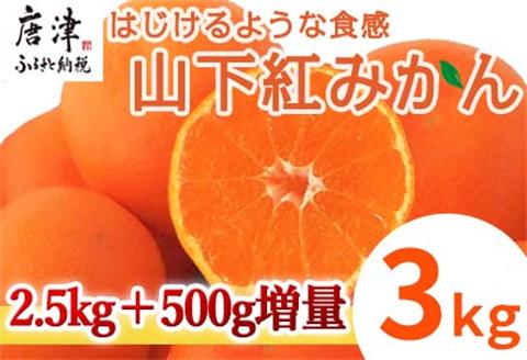 『先行予約』【令和8年11月発送】山下紅みかん(ハウス栽培) 唐津産 3kg ミカン 蜜柑 果物 フルーツ