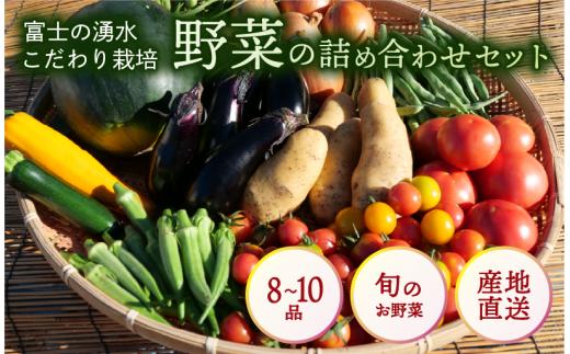 野菜 8 ～ 10 品 特別栽培 詰め合わせ セット 富士山 の 湧水 で つくる 四季 の 美味しい 旬 お野菜 新鮮 静岡県 沼津市 やまひろ農園