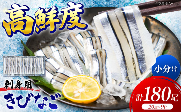 五島産 きびなご 刺身用 20尾×9P 五島市/鯛福丸水産 [PDP001]