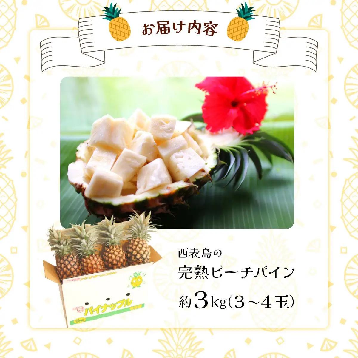 2027年 先行予約 西表島の完熟ピーチパイン 3kg (3～4玉)【嘉本商店 完熟 果物 フルーツ】お届け：5月中旬～6月中旬頃【042-a003】