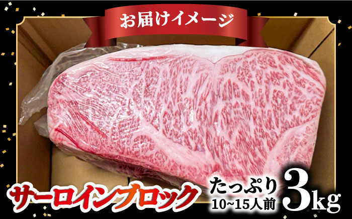 サーロイン ブロック 約3kg 肉 長崎和牛 ステーキ /南島原市 / 島原雲仙農業協同組合 [SES001]