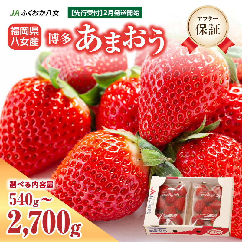 あまおう 1,080g (270g×4パック) 