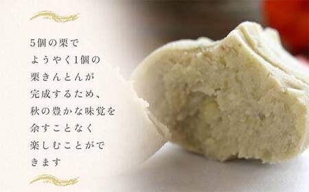 ＜御菓子司梅園＞ 栗きんとん12個 (6個入×2箱) 【11月お届け】  栗きんとん 和菓子 菓子 スイーツ 秋 限定 詰め合わせ 冷蔵 岐阜県 F4N-3045