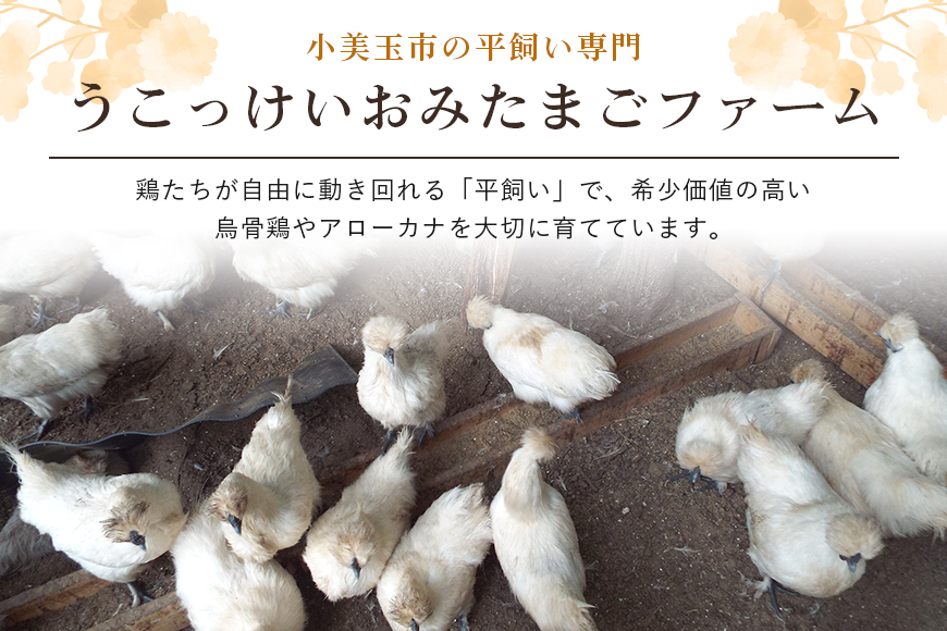 平飼い極上のうこっけいの卵24個（20＋補償4個）×定期便12回【12か月定期便】 たまご タマゴ 玉子 烏骨鶏 烏骨鶏の卵 安全 テレビ TV マニアさん 健康 美容 ご飯 すき焼き 目玉焼き 卵焼