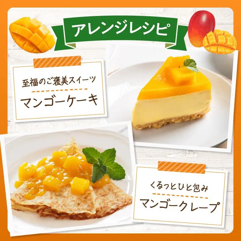 マンゴー 宮崎 完熟 特秀 3L 2玉 マンゴー[約1kg 化粧箱入り]