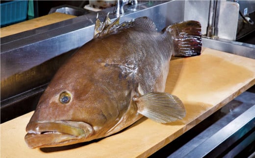 【先行予約】土佐料理司 高知本店　クエ鍋3人前【株式会社土佐料理司】 [ATAD005]