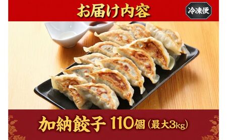 【数量限定】訳あり 餃子 冷凍生餃子 110個 生餃子 冷凍餃子 ギョーザ おかず 総菜 おつまみ つまみ ごはんのお供 中華 家庭用 お取り寄せ まとめ買い 大容量 冷凍食品 焼き餃子 冷凍 神奈川